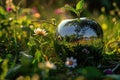 a close-up reflection of a scene of spring flowers in a green meadow, visible in a perfectly polished chrome apple lying on the