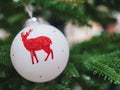 Close up reindeer ball white hanging on christmas tree Royalty Free Stock Photo