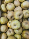 Close up of reinette grise du canada apples in wooden crates. Prepared for sale. Wooden box