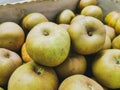 Close up of reinette grise du canada apples in wooden crates. Prepared for sale. Wooden box