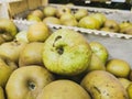 Close up of reinette grise du canada apples in wooden crates. Prepared for sale. Wooden box