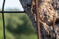 Close up of the remains of the Berlin Wall, Germany at the Wall Memorial, reminder of a once divided city. Royalty Free Stock Photo