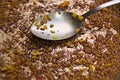 Close-up of the remains of rice in a Valencian paella Royalty Free Stock Photo