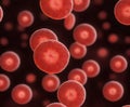 Microscopic Red Blood Cells: Vital Life Elements