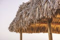 Close-up of the restaurant roof made of palm leaves on the shores of the Caribbean Sea. Royalty Free Stock Photo