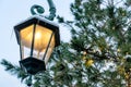 Close up of retro street lantern and fur tree with garland. Christmas mood in the city Royalty Free Stock Photo