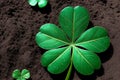 A close up of a four leaf clover on the ground.