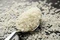 close-up rice grains on metal spoon Royalty Free Stock Photo