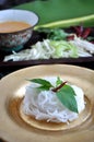 Close up Rice Noodle with Spicy Sauce Royalty Free Stock Photo