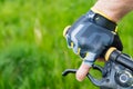 close-up rider s hand in gloves Royalty Free Stock Photo