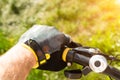 close-up rider s hand in gloves Royalty Free Stock Photo