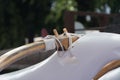 Close-up of rigging details of a canoe at Anaehoomalu beach -2 Royalty Free Stock Photo