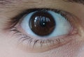 Close-up of the right eye of a male human pic Royalty Free Stock Photo