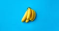 Close up of ripe banana bunch on blue background Royalty Free Stock Photo