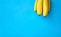 Close up of ripe banana bunch on blue background Royalty Free Stock Photo