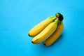 Close up of ripe banana bunch on blue background Royalty Free Stock Photo