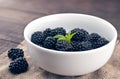 Close up of ripe blackberries in a white ceramic bowl over rustic wooden background Royalty Free Stock Photo