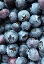 Close-up ripe blueberry with selective focus texture above, vertocal. Minimalist food background. Tasty colorful fresh berry