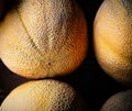 A Close Up A Ripe Cantaloupes.