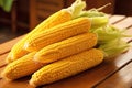Close-up of ripe corn cobs Royalty Free Stock Photo