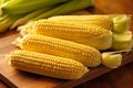 Close-up of ripe corn cobs Royalty Free Stock Photo