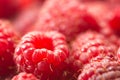 Close up of ripe fresh raspberries Royalty Free Stock Photo