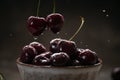 Close up of ripe juicy sweet cherries with water drops in a ceramic bowl Royalty Free Stock Photo