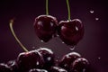 Close up of ripe juicy sweet cherries with water drops in a ceramic bowl Royalty Free Stock Photo