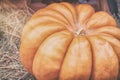 Close-up ripe large ribbed pumpkin on straw, vintage colours. Rustic autumn, fall background. Thanksgiving Day concept