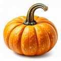 Close Up of Ripe Orange Pumpkin with Green Stem on White Background Royalty Free Stock Photo