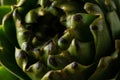 Close-up of ripe organic artichoke. Vegetable background