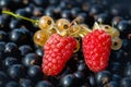 Close up ripe raspberry and yellow or white currant