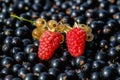 Close up ripe raspberry and yellow or white currant