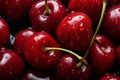 A close-up of ripe, red cherries