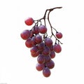 Close-up of ripe red grape cluster with shiny, smooth surface on white background Royalty Free Stock Photo