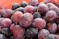 Close-up ripe red plums,natural backyard plums