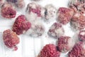 Close-up ripe red rotten raspberry with white grey mold on it. Spoiled berry in plastic box