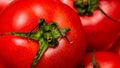 Close up of ripe red tomato, tomatoes background