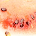 Close-up of ripe seeds over pink watermelon flesh