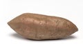 Closeup ripe sweet potato tuber white background Royalty Free Stock Photo