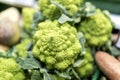 Close up of ripe and vibrant green Romanesco vegetable on a mark