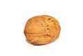 Ripe walnut Royalty Free Stock Photo