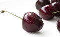 Close-up of ripe white heart cherry with dew drops. More cherries in background.