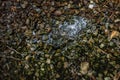 Close up of river rocks and gravel pool of rain water background texture Royalty Free Stock Photo