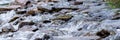 Close up of river stream on stones Royalty Free Stock Photo