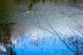 Close up of river surface, ripples.