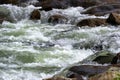 Close up of river water cascading over rocks Royalty Free Stock Photo