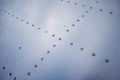 Close up of rivets aluminium. Aircraft fuselage and wing