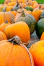 Closeup of wagon of pumpkins in variety of shapes, sizes and col Royalty Free Stock Photo