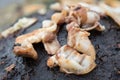 Close-up roast pork On the grill